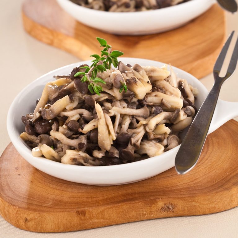 Shimeji Cogumelos Otakano Shimejis Compre direto do produtor